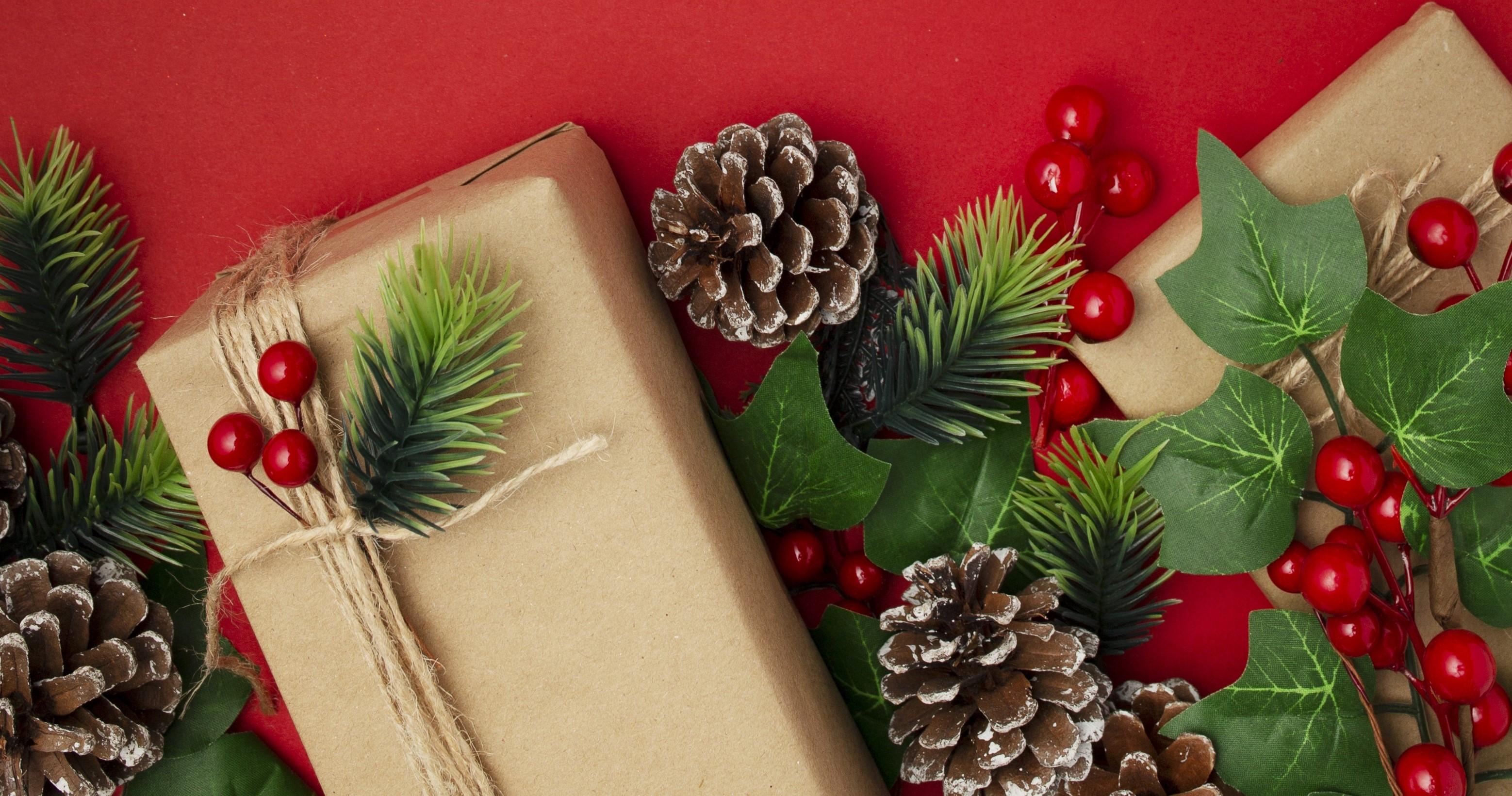 Nyhedsbrev december 2025